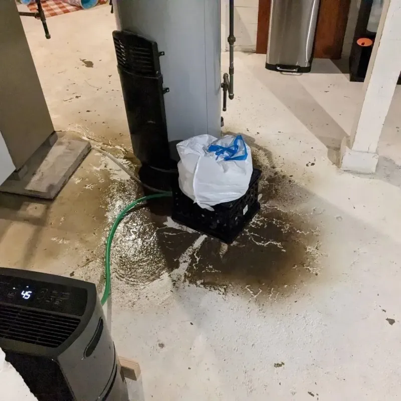 Sewage Backup Cleanup Service in Montalvin, CA